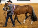 2025 AQHA High-Point Ranch Trail Champions