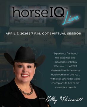 horseIQ Live: Halter with Kelley Wainscott on April 7th