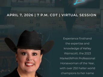 horseIQ Live: Halter with Kelley Wainscott on April 7th
