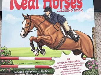 First of Five Real Horses Coloring Books Released by KC Montgomery