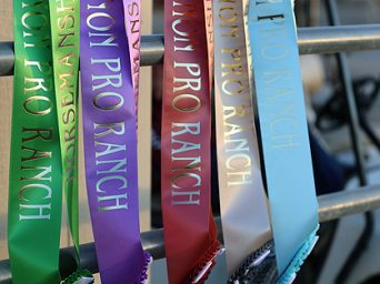 Chas Roberts NSBA Non Pro Ranch Horsemanship Debuts at Sun Circuit