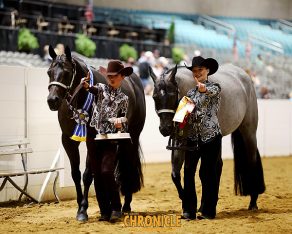 EC Photo of the Day: Friendship Defined