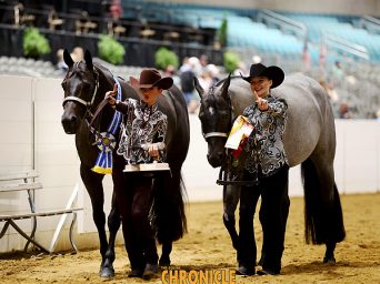 EC Photo of the Day: Friendship Defined