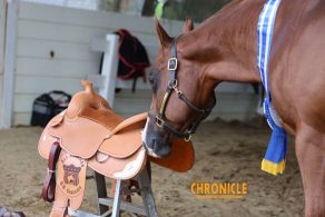 EC Photo of the Day: Reflections