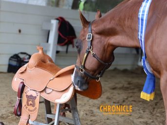 EC Photo of the Day: Reflections