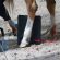 How Artificial Intelligence Could Improve Fracture Detection in Horses