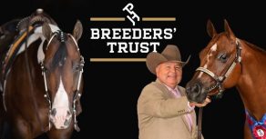 2025 Breeders’ Trust Point Value Increases by 34%