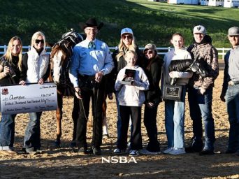 Featured 2026 Western Pleasure Futurities at the March To Virginia AQHA and NSBA Show