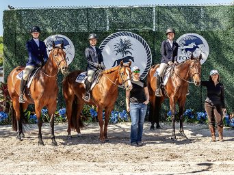 Around the Rings: 2026 Love Circuit