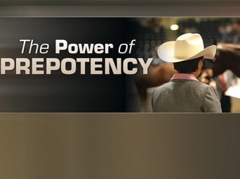 The Power Of Prepotency
