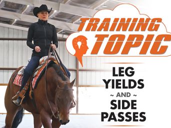 Training Topic: Leg Yields And Side Passes