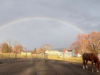 EC Photo of the Day: The Sunshine After the Storm