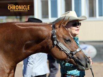 Around the Rings: 2026 Arizona Sun Circuit, March 3rd