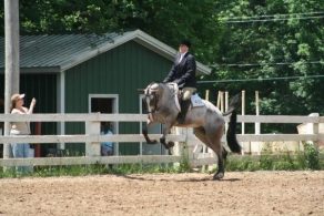 EC Photo of the Day: Monday Vibes