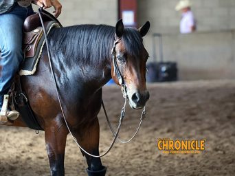 More Around the Rings: 2026 Cactus Reining Classic