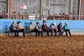 Appaloosa Horse Club Approves Six New Judges
