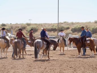 EC Photo of the Day: A Meeting of the Minds at Arizona Sun Circuit