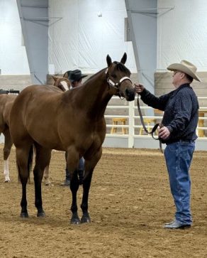 EC Photo of the Day: Never Enough GLITZZ