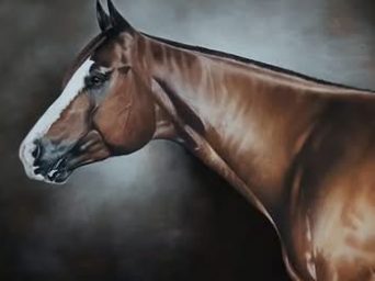 Stalls Charts for Orange Blossom & A Sudden Impulse 2026