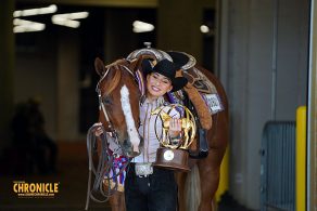 NSBA All Around Performance Horse Of The Year: The Batchelor