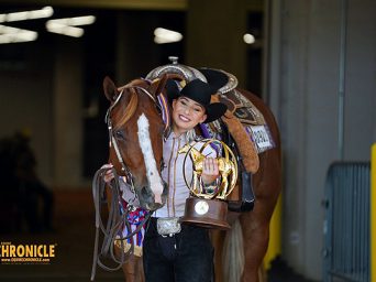 NSBA All Around Performance Horse Of The Year: The Batchelor