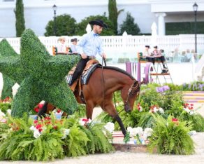 The Championship Show 2026 Featuring APHA & Appaloosa Shows | WEC – Ocala
