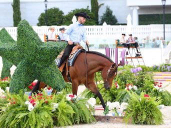 The Championship Show 2026 Featuring APHA & Appaloosa Shows | WEC – Ocala