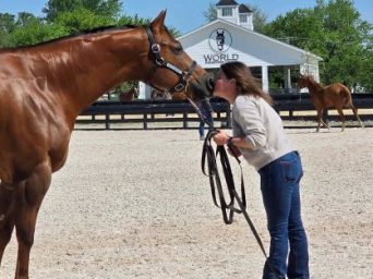 EC Photo of the Day: HR Ante Up