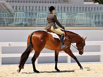 A Sudden Impulse: Wednesday, April 15, 2026 Featured Class Highlights