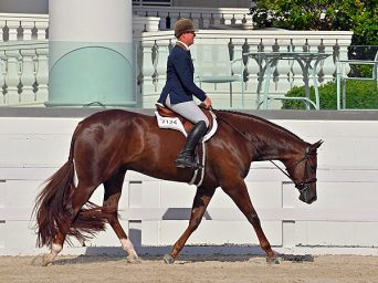 A Sudden Impulse: Tuesday, April 14, 2026 Featured Class Highlights