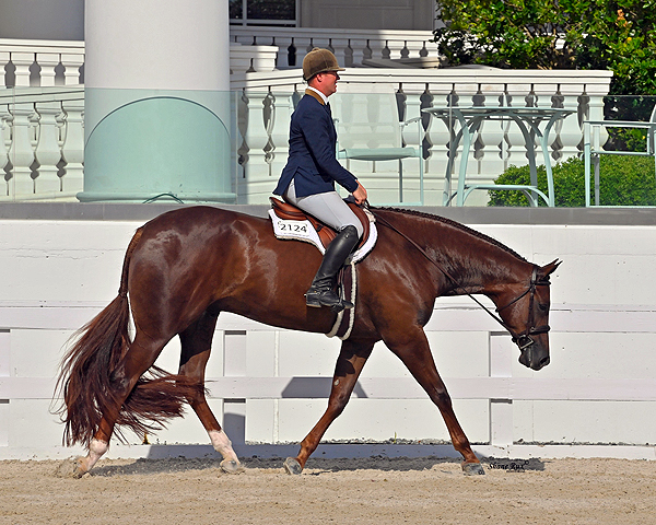 A Sudden Impulse: Tuesday, April 14, 2026 Featured Class Highlights