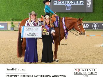 Around the Rings: AQHA East L1 Champions for 4-22-2026