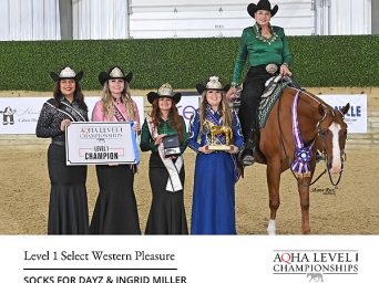 Around the Rings: AQHA East L1 Champions for 4-25-2026