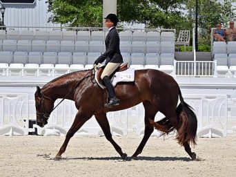 A Sudden Impulse: Thursday, April 16, 2026 Featured Class Highlights