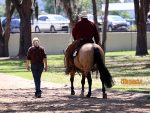 Around the Rings: Ranch Riding at A Sudden Impulse 2026