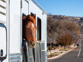 Weigh in on Horse Trailer Safety