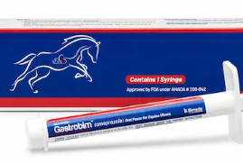FDA Approves First Generic Omeprazole Oral Paste for Gastric Ulcers in Horses