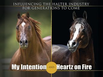 Memory Lane Monday: My Intention and Heartz On Fire