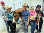 Around the Rings with the G-Man: 2026 AQHA East L1 Championships