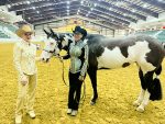 Around the Rings with the G-Man: 2026 Martinganza AQHA Show & Futurity
