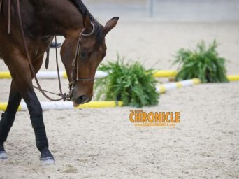 Who is Coming Back Friday Night for the $142K NSBA All-Age Open Trail Finals?