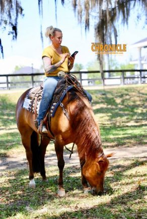 EC Photo of the Day: The Quintessential WEC-Ocala Experience