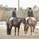 EC Photo of the Day: Horse People