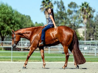 Congratulations to Leah Nim on the Purchase of One More Drink