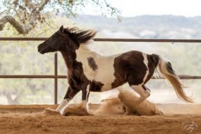 EC Photo of the Day: Only the Heart