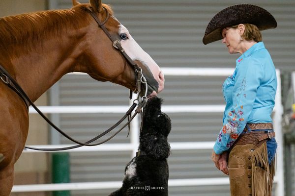EC Photo of the Day: Remember Love and Friendship