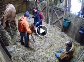 EC Video of the Day: Why Whisper?