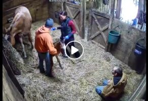 EC Video of the Day: Why Whisper?