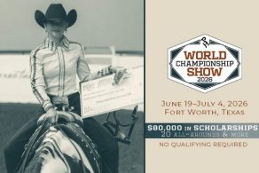 Scholarships, Saddles, Senior Horses Highlight 2026 Paint World Special Recognition