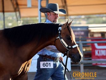 2026 Silver Dollar Circuit NSBA Ranch Classes